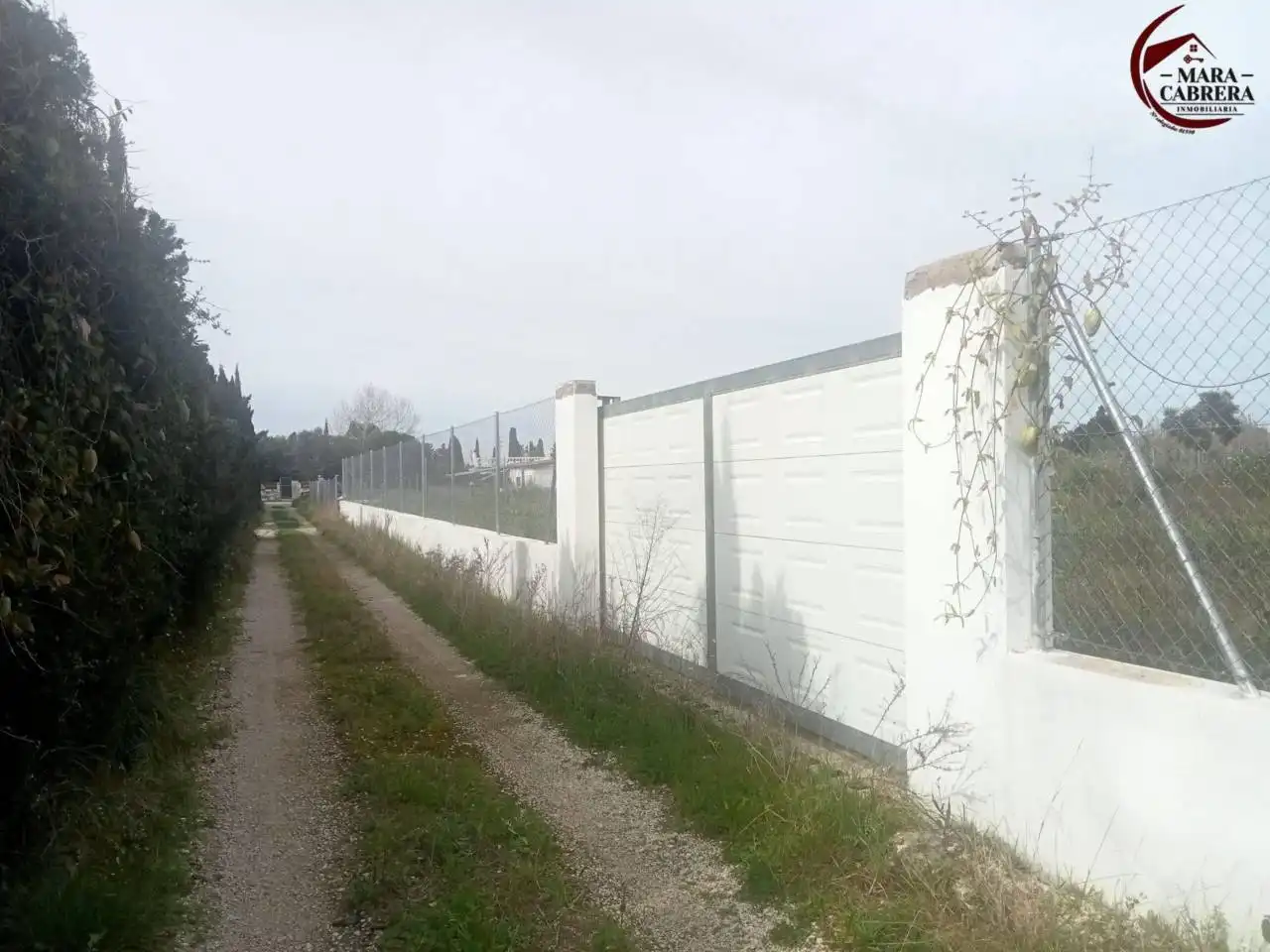 Terreno en venta en Oliva