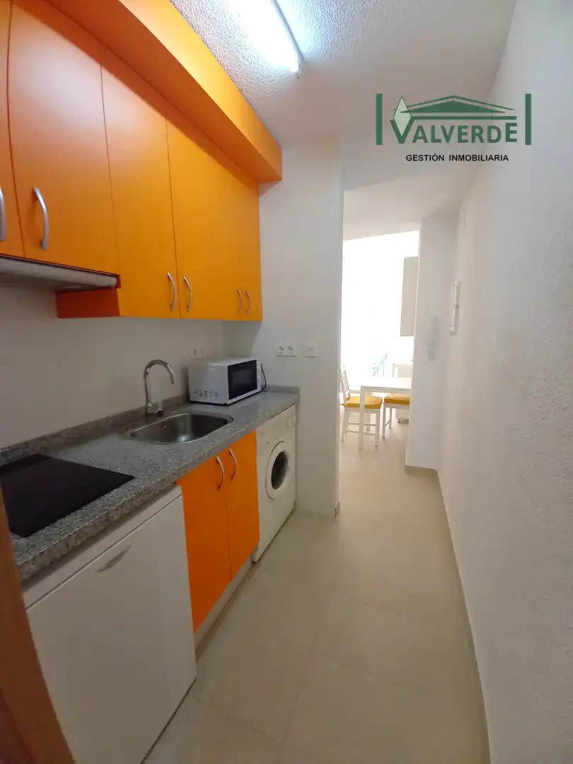 Cuina de Apartament de lloguer en Granada amb Aire condicionat, Calefacció i Moblat