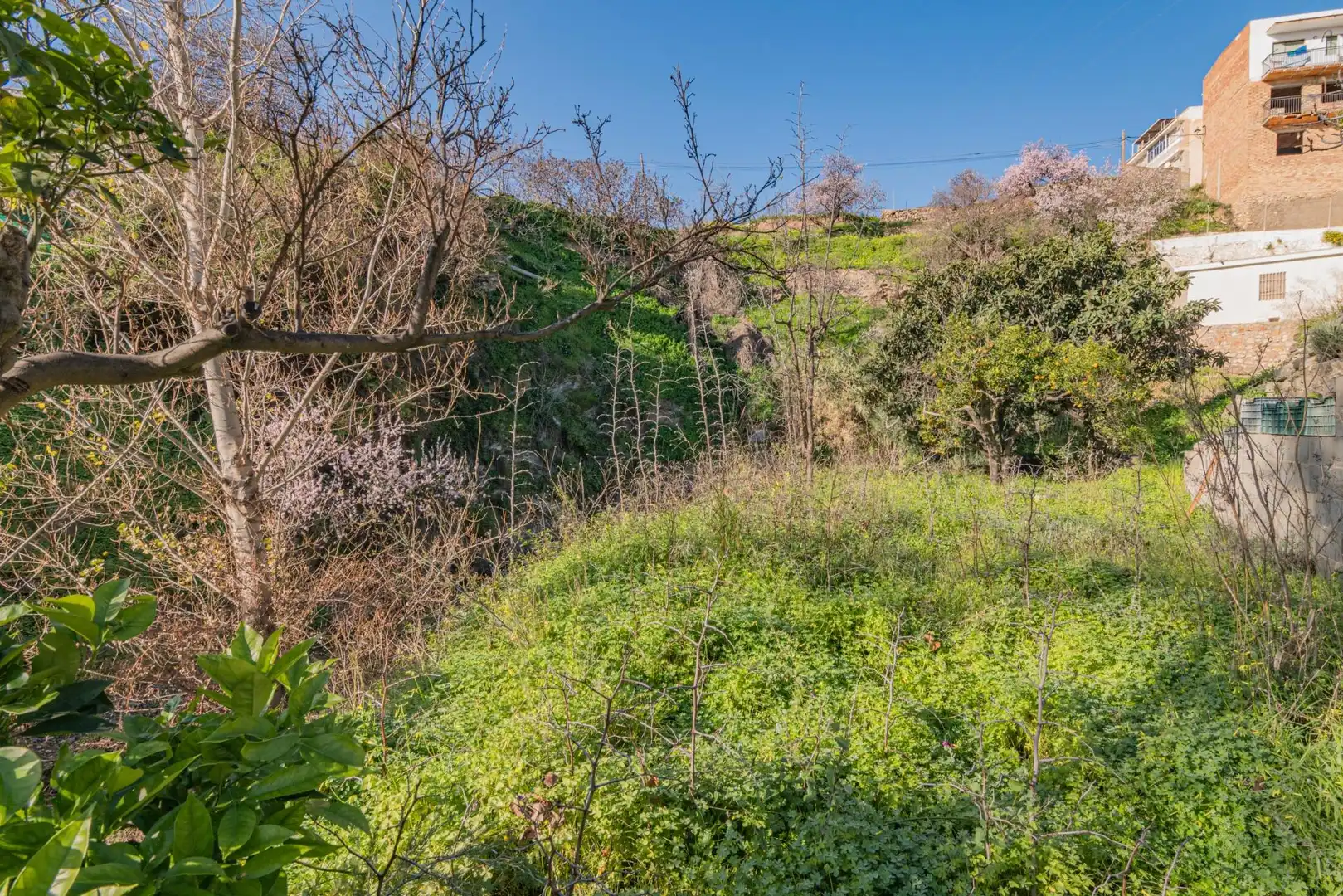 Casa o xalet en venda en Molvízar amb Jardí privat, Terrassa i Traster