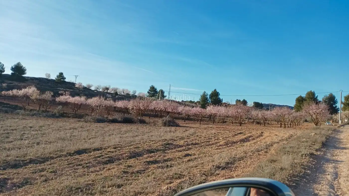 Terreno rustico in vendita a Calle Montealegre 12, imagen 4