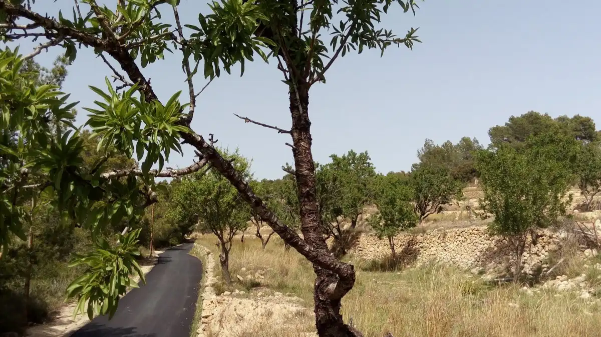 Terreny rústic en venda a Benissa pueblo, imagen 2