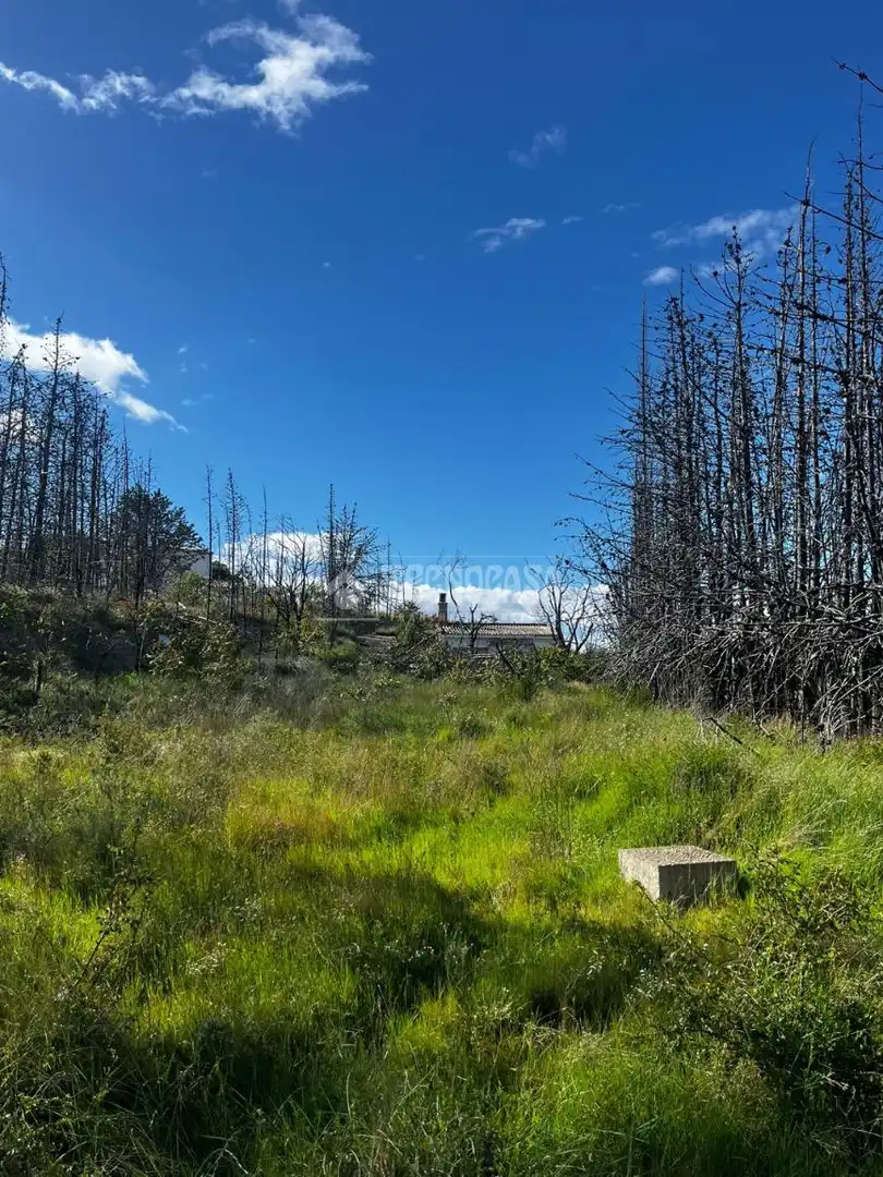 Land for sale in Borja