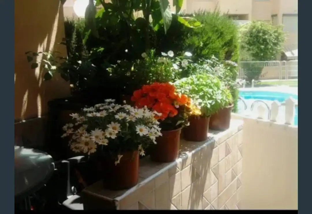 Terrasse von Haus oder Chalet zum Verkauf in San Vicente del Raspeig / Sant Vicent del Raspeig mit Klimaanlage, Terrasse und Balkon
