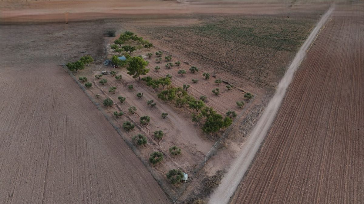 Finca rústica en venta en La Roda