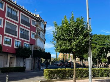 Gewerbefläche zur Miete in Avenida la Salle