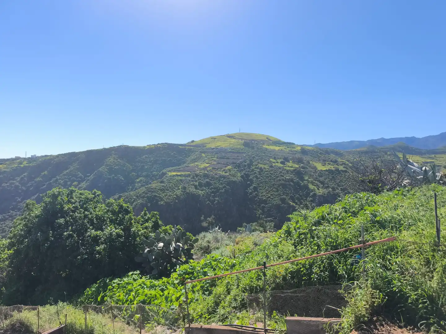 Vista exterior de Terreny en venda en Santa Brígida