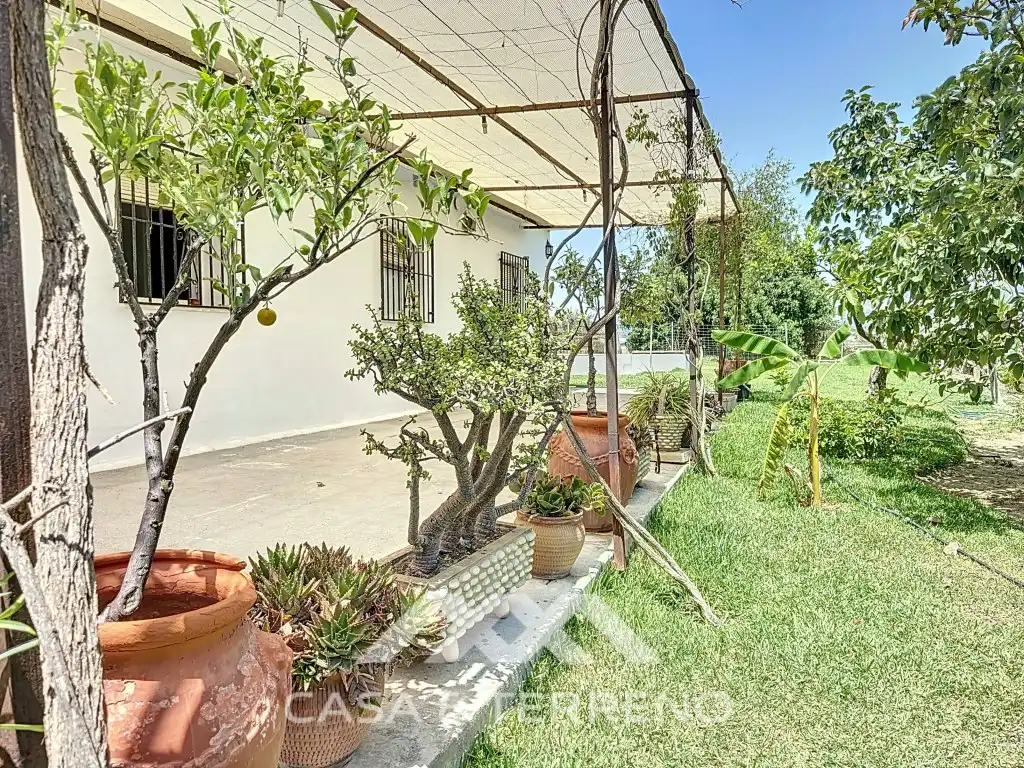 Business premises for sale in Ds Huertas Bajas, imagen 28