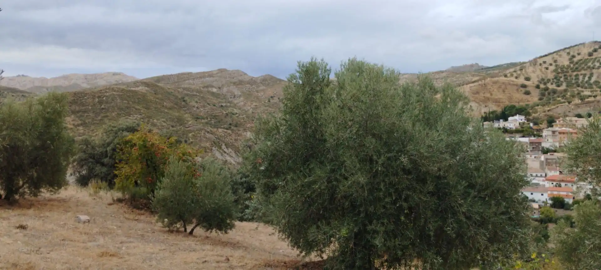 Apartment for sale in Quéntar, imagen 10