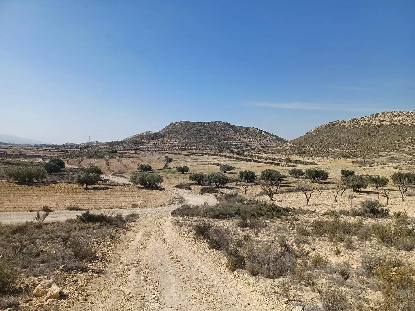 Rustikales Grundstück zum Verkauf in El Pinós / Pinoso, imagen 4