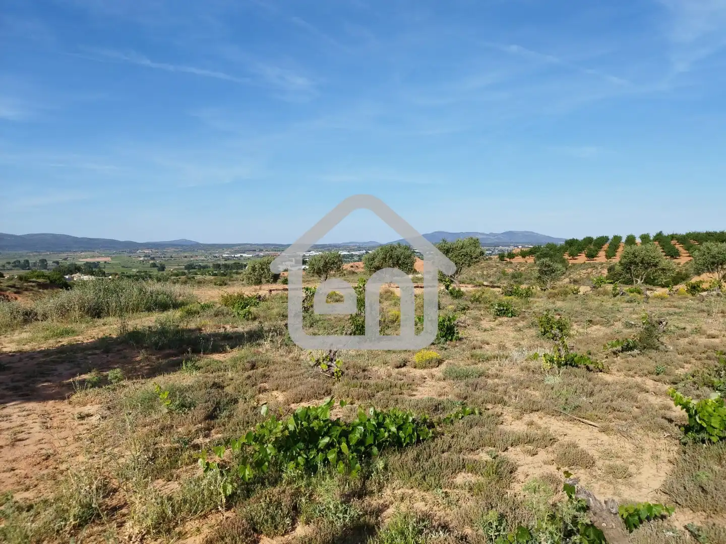 Rural land for sale in Requena, imagen 24