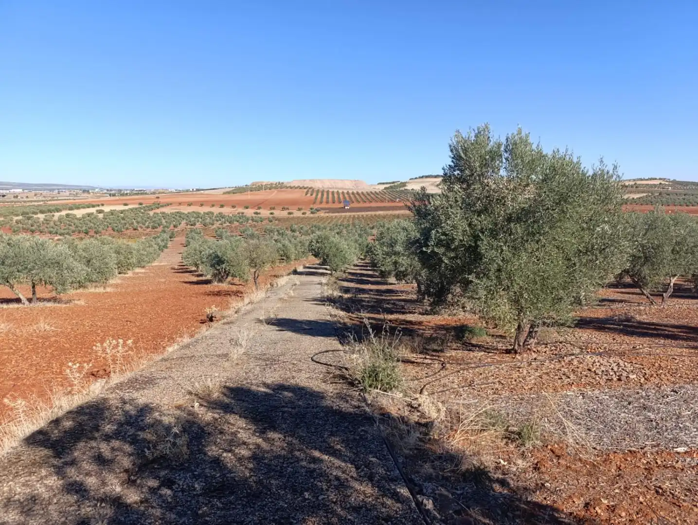 Casa rústica en venda a Valdepeñas, imagen 27