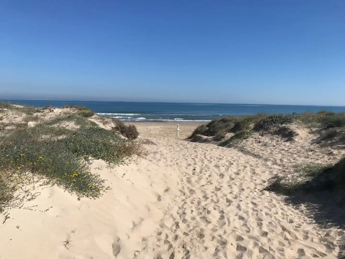 Vista exterior de Casa o xalet de lloguer en Oliva amb Aire condicionat i Piscina