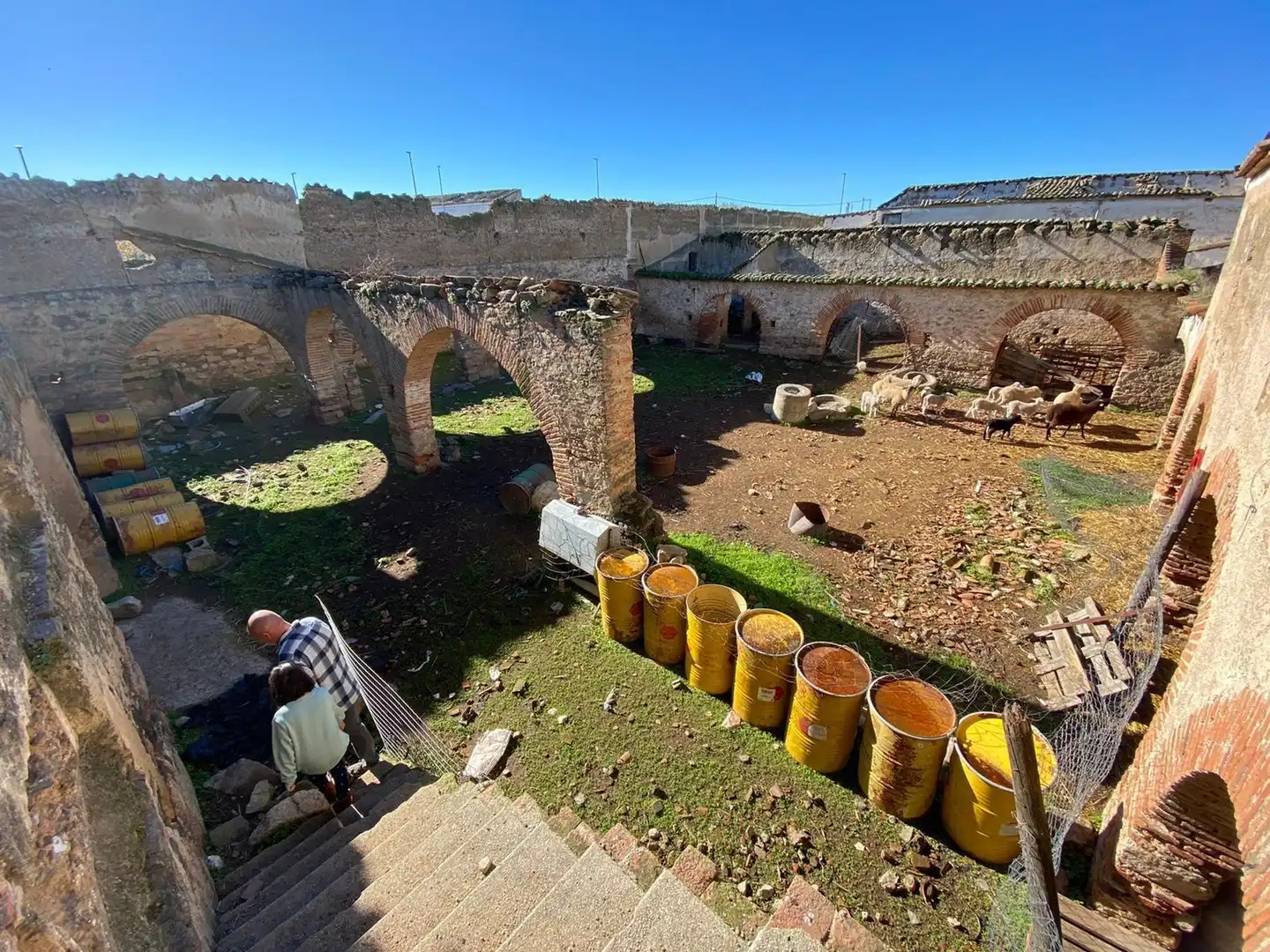 Terreni e lotti in vendita a Casar de Cáceres, imagen 5