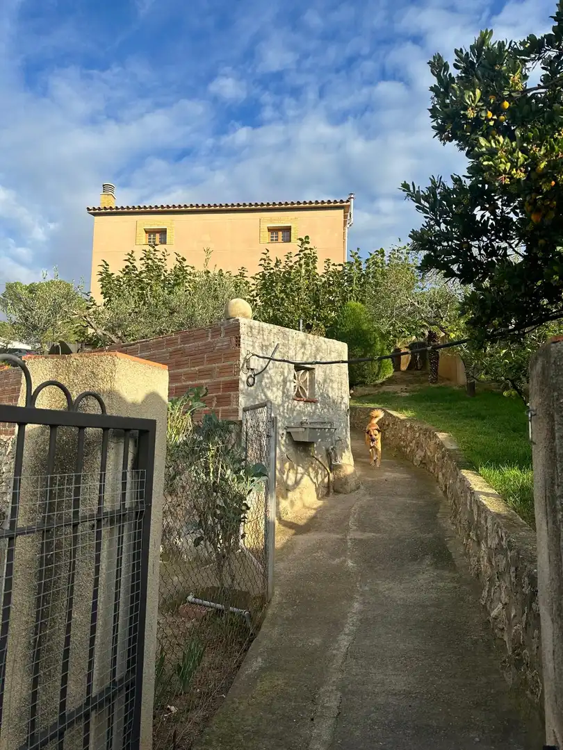 Garden of Houses for sale in La Bisbal del Penedès  with Heating, Private garden and Terrace