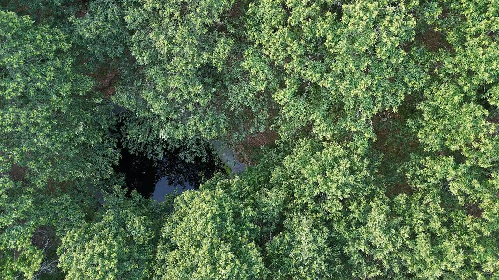 Grundstücke zum Verkauf in Navaconcejo