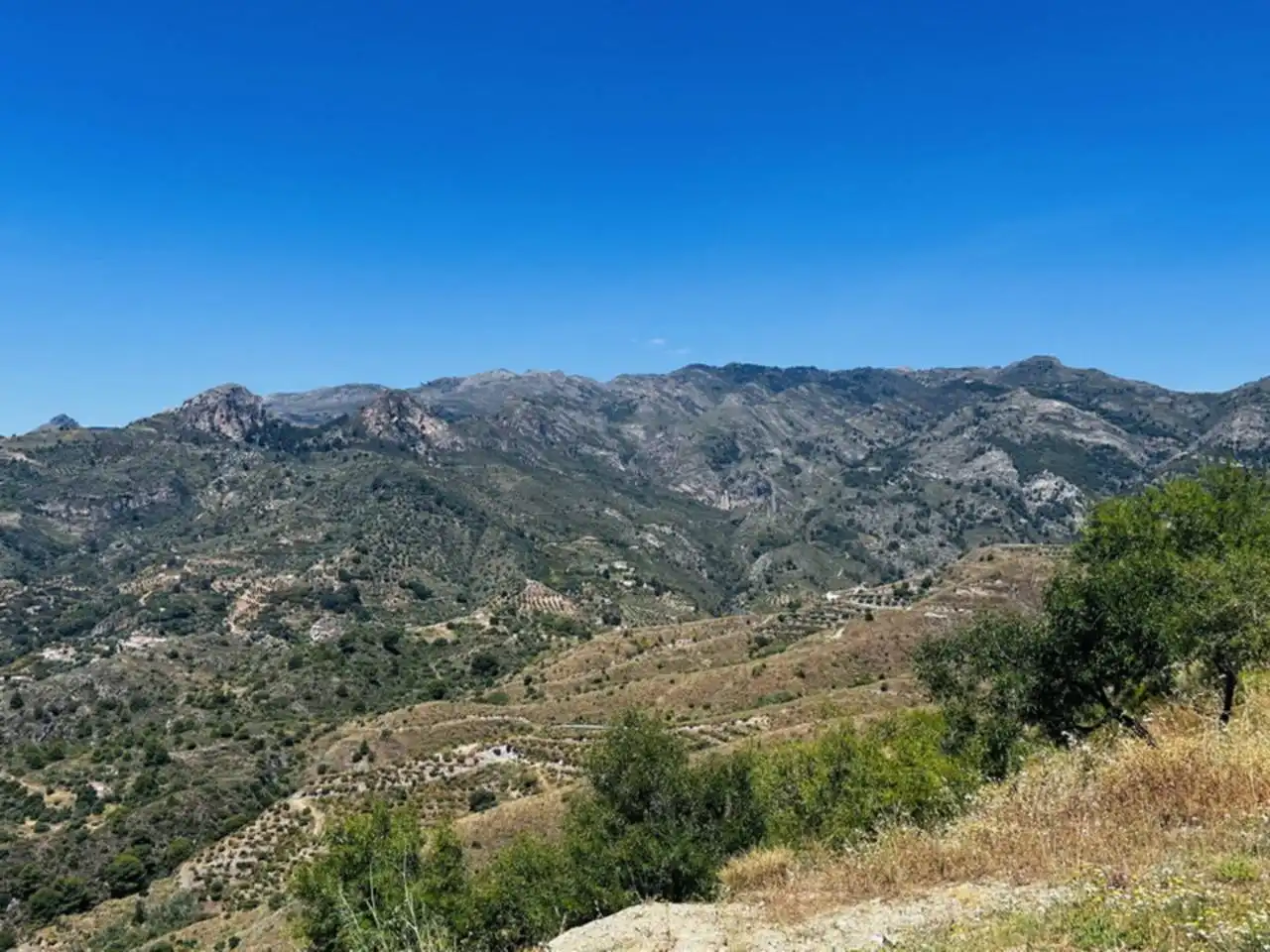 Vista exterior de Finca rústica en venta en Almuñécar