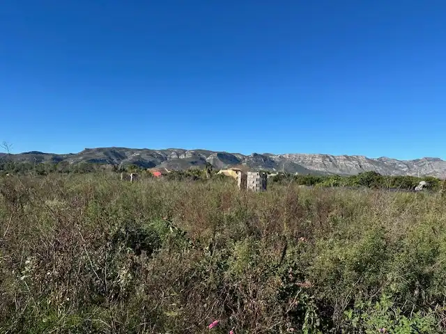 Terreny rústic en venda a Partida Cova Negra, imagen 10