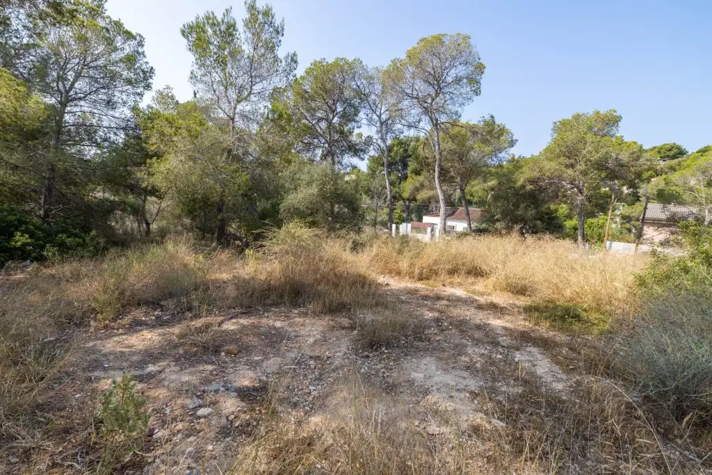 Rural land for sale in Cala Vinyes, imagen 3