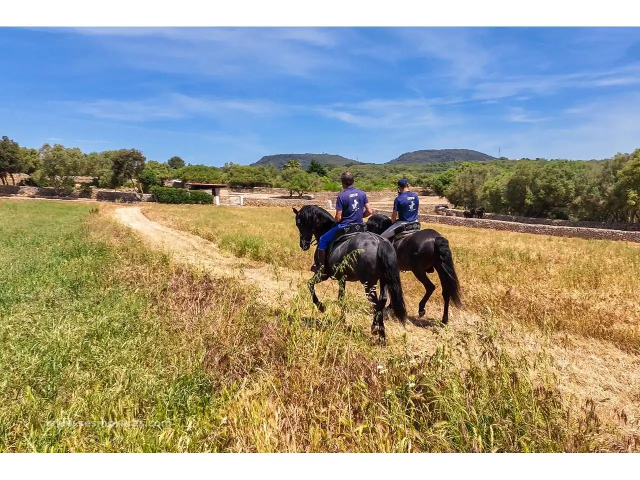 Exterior view of Land for sale in Ciutadella de Menorca