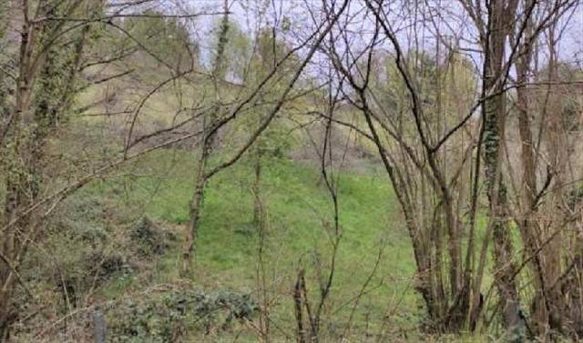 Terreno en Venta en El Berrón - La Carrera