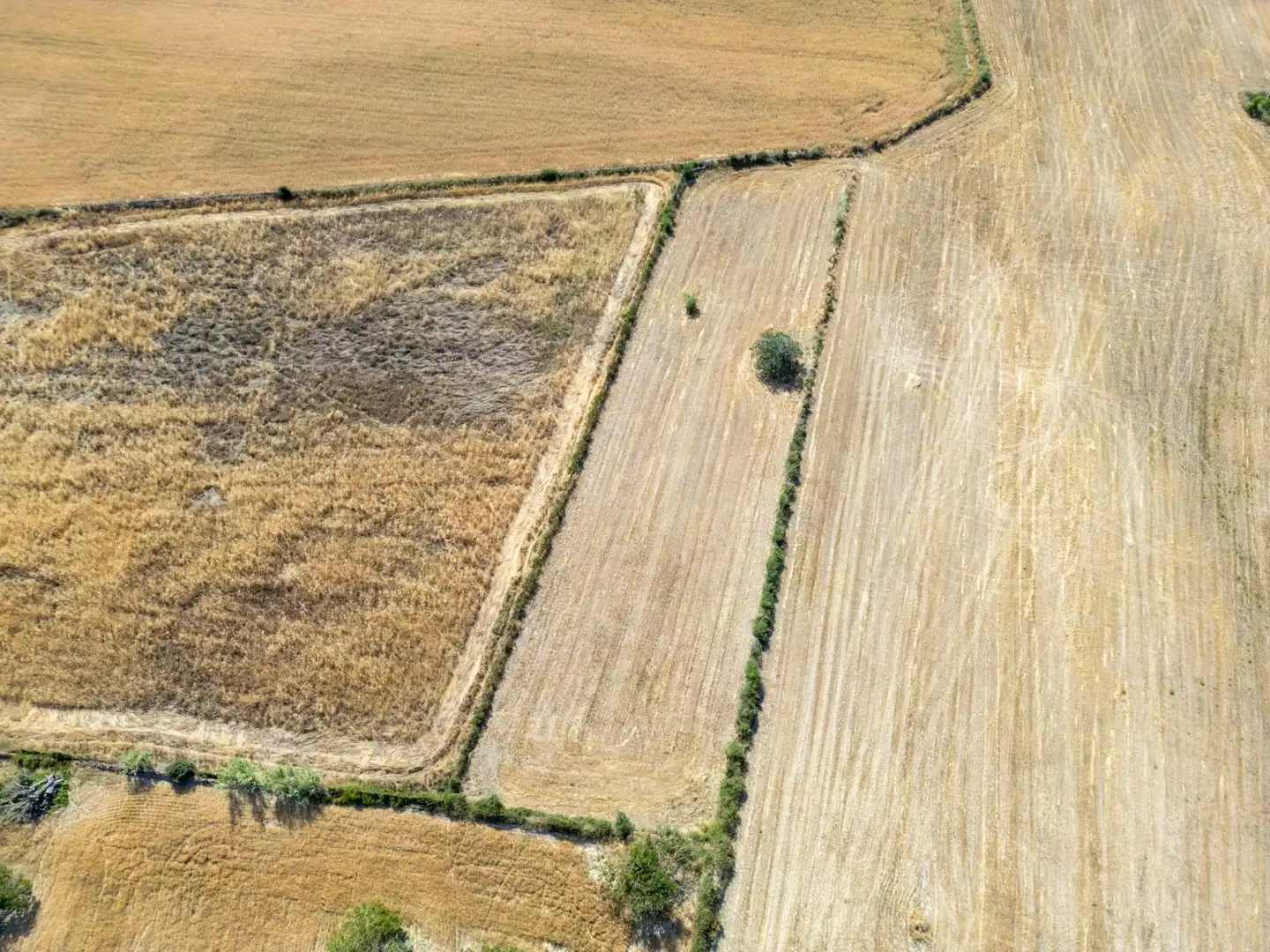 Casa rústica amb jardí en venda a Porreres, imagen 30