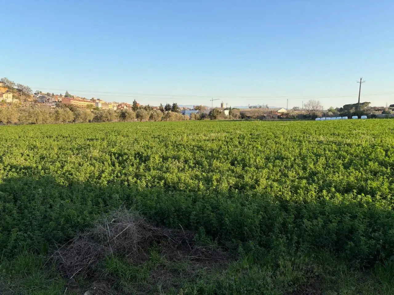 Land for sale in Caldes de Montbui