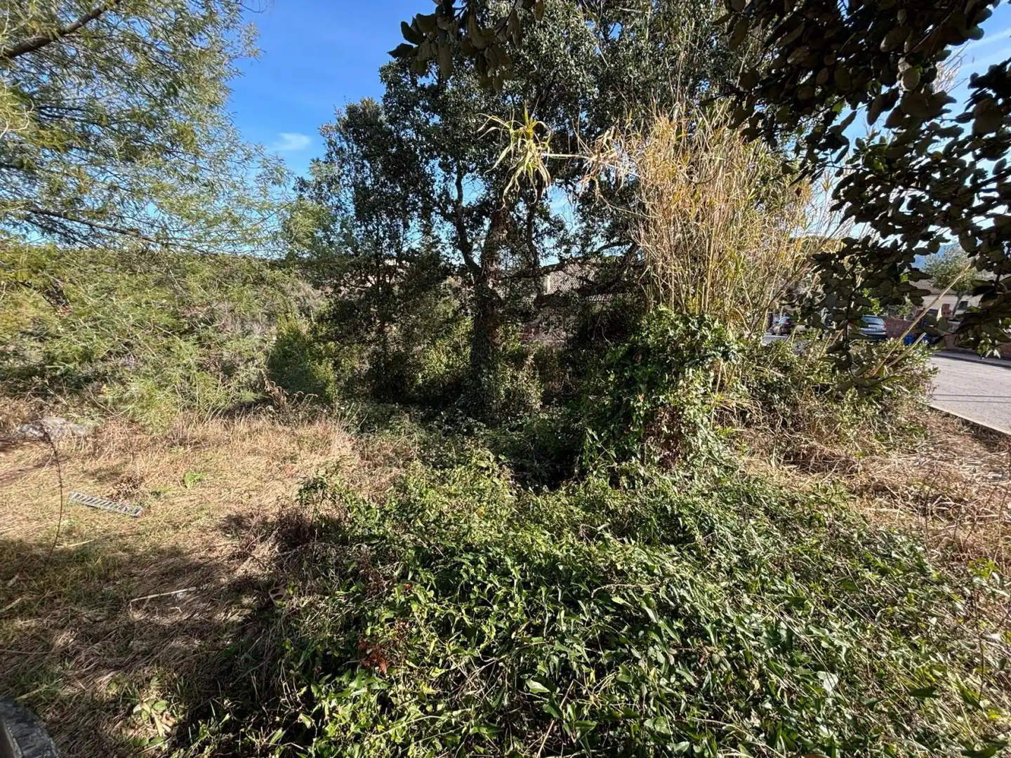 Terreno residencial en venta en Riells i Viabrea, imagen 3