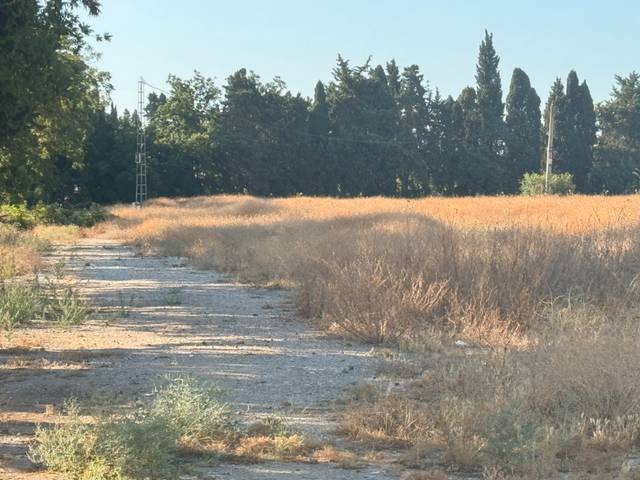 Terreno en Alquiler en Churriana - El Pizarrillo - La Noria-Guadalsol