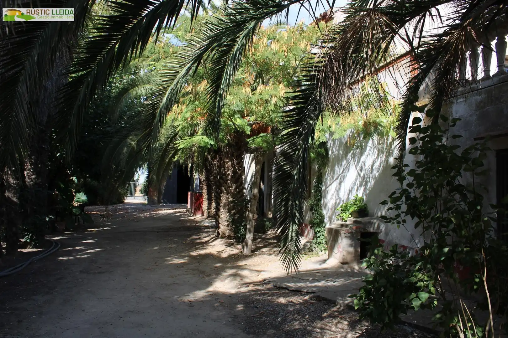 Casa rústica en venda a Linyola, imagen 8