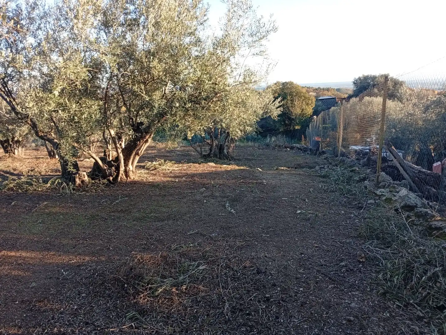 Terreni e lotti in vendita a Villanueva de la Vera, imagen 57