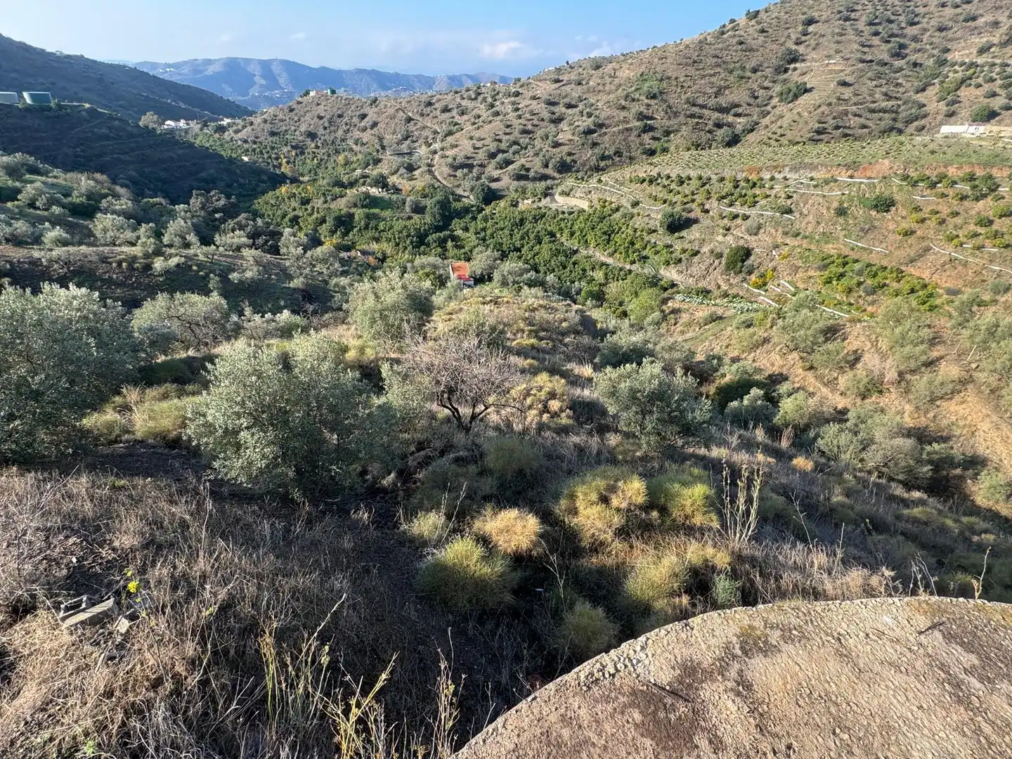 Terreno rústico en venta en Canillas de Aceituno, imagen 8