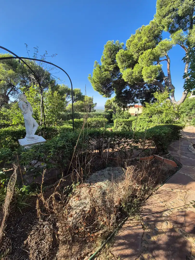 Casa o chalet en venta en Avenida Fuente del Oro, San Miguel - El Paraiso