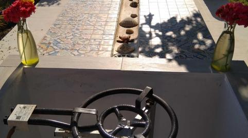 Foto 5 de Finca rústica en venta en  Polígono 3 Paraje 33 la Final, 24, Sanlúcar de Guadiana, Huelva