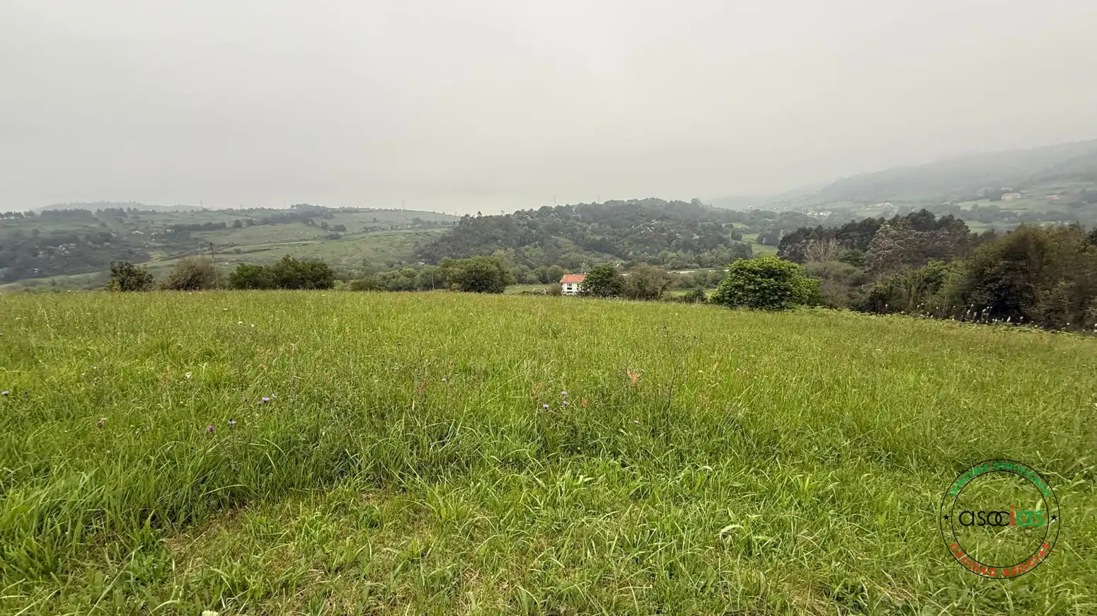 Terreno rústico en venta en Carreño - cotones bardial TAMON, imagen 10