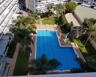 Piscina de Apartament en venda en Gandia amb Aire condicionat, Jardí privat i Terrassa