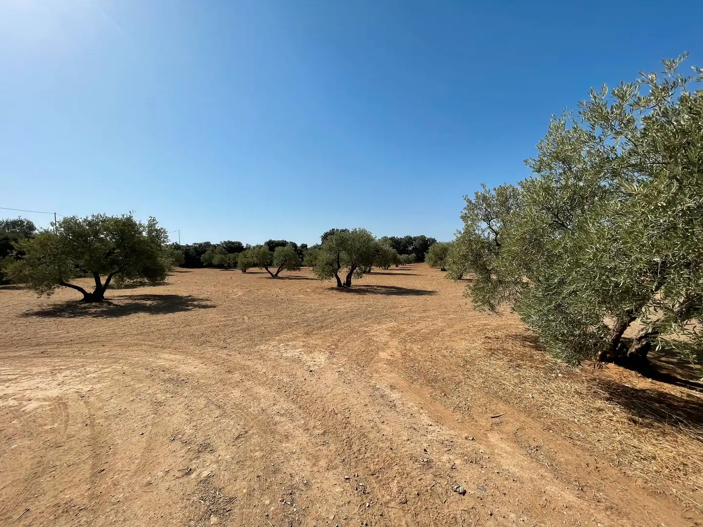 Terreni e lotti in vendita a Baeza, imagen 9