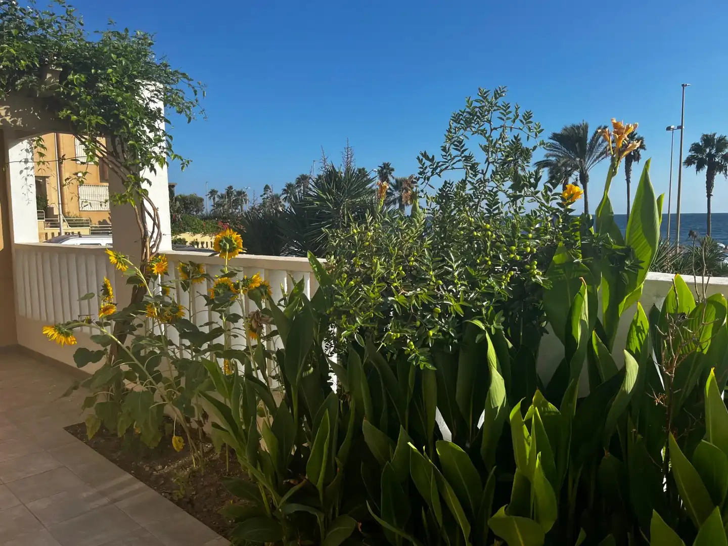 Einfamilien-Reihenhaus zur Miete in SOLANA DE LA, Nueva Almería - Cortijo Grande - Vega de Acá