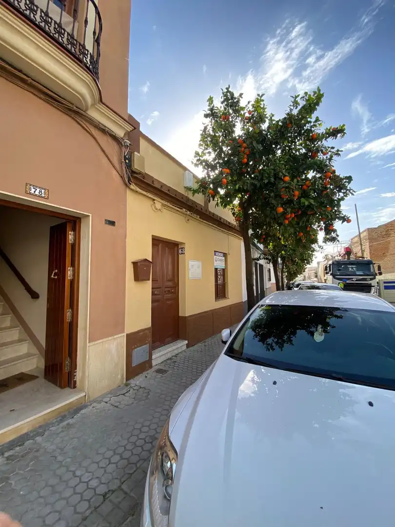 Vista exterior de Casa o chalet en venta en Morón de la Frontera