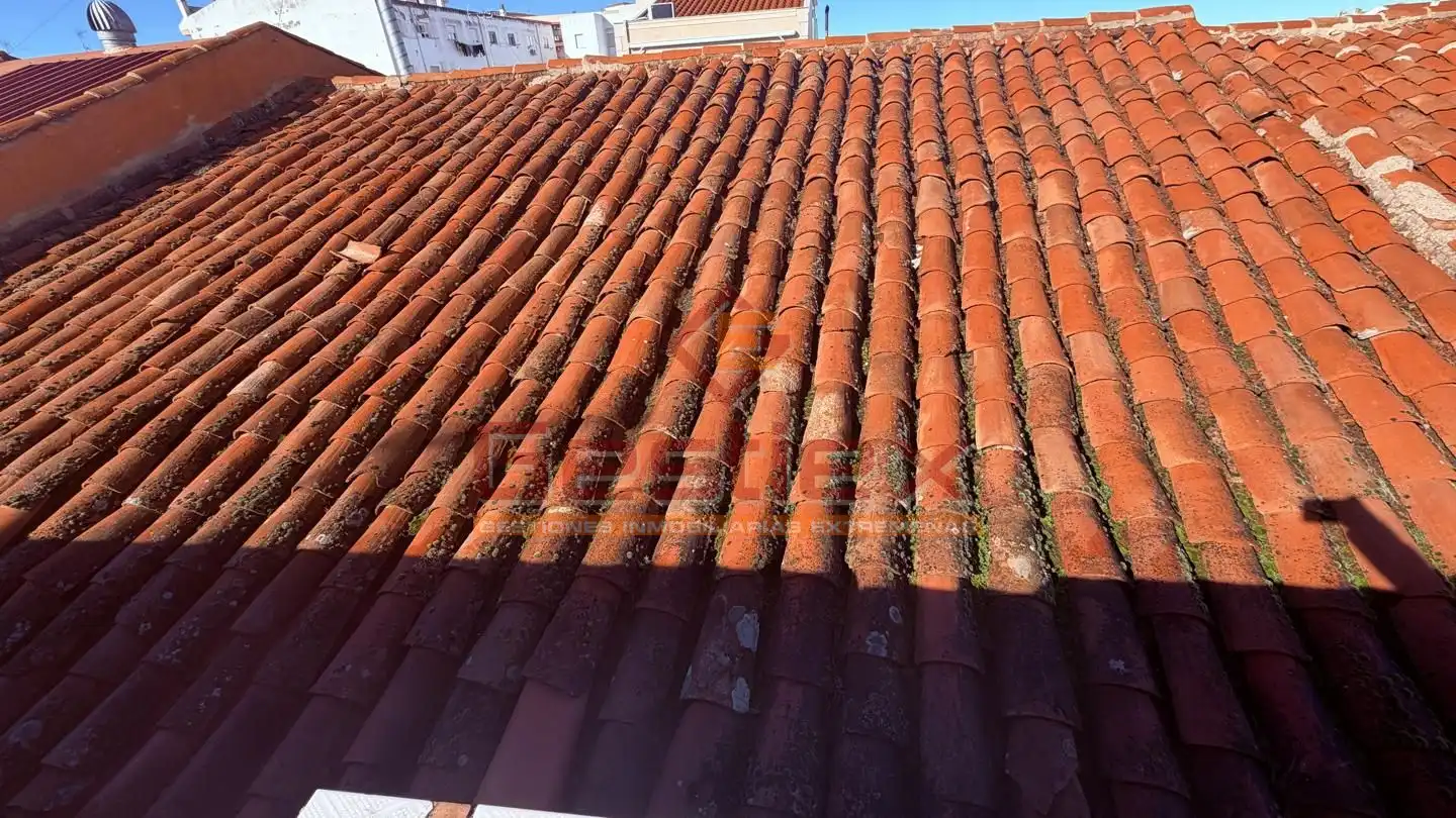 Exterior view of Houses for sale in Almendralejo