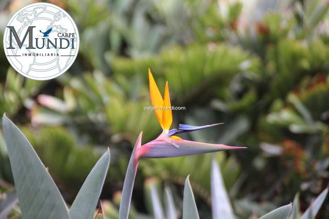 Terreno residencial en Venta en Pasaje Tarajalejo en Tarajalejo