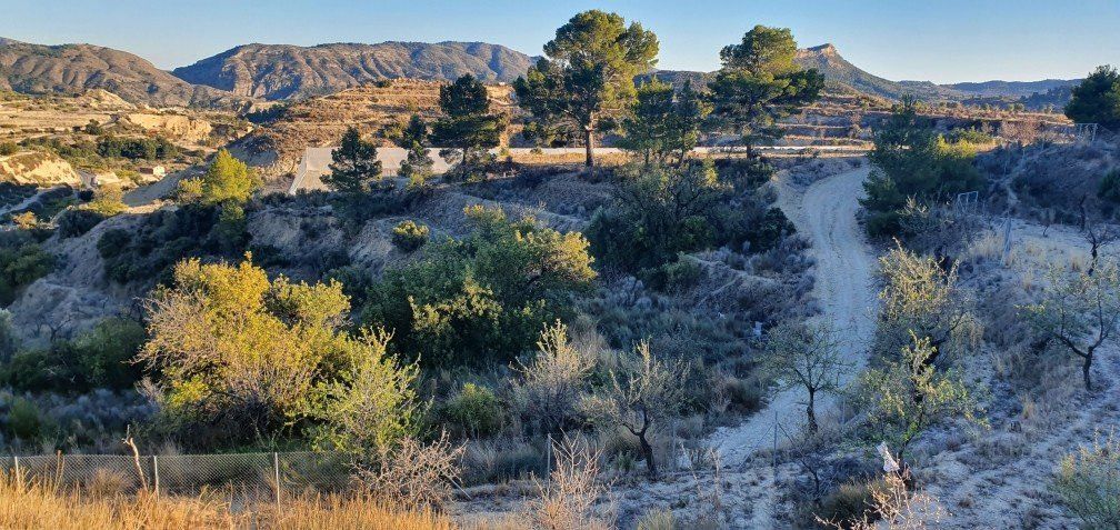 Residential for sale in Relleu