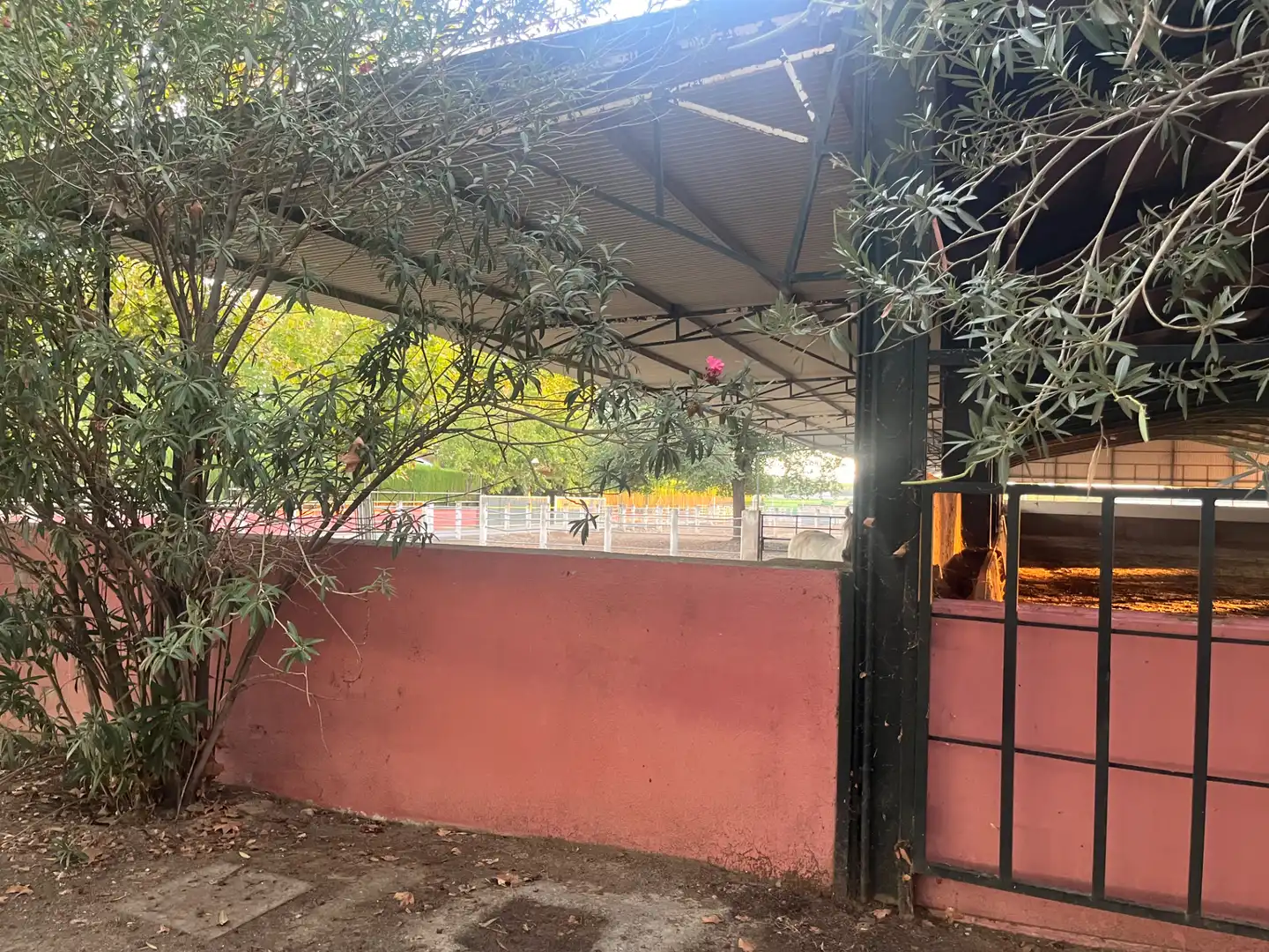 Industrial building for sale in Carretera de Córdoba, imagen 130