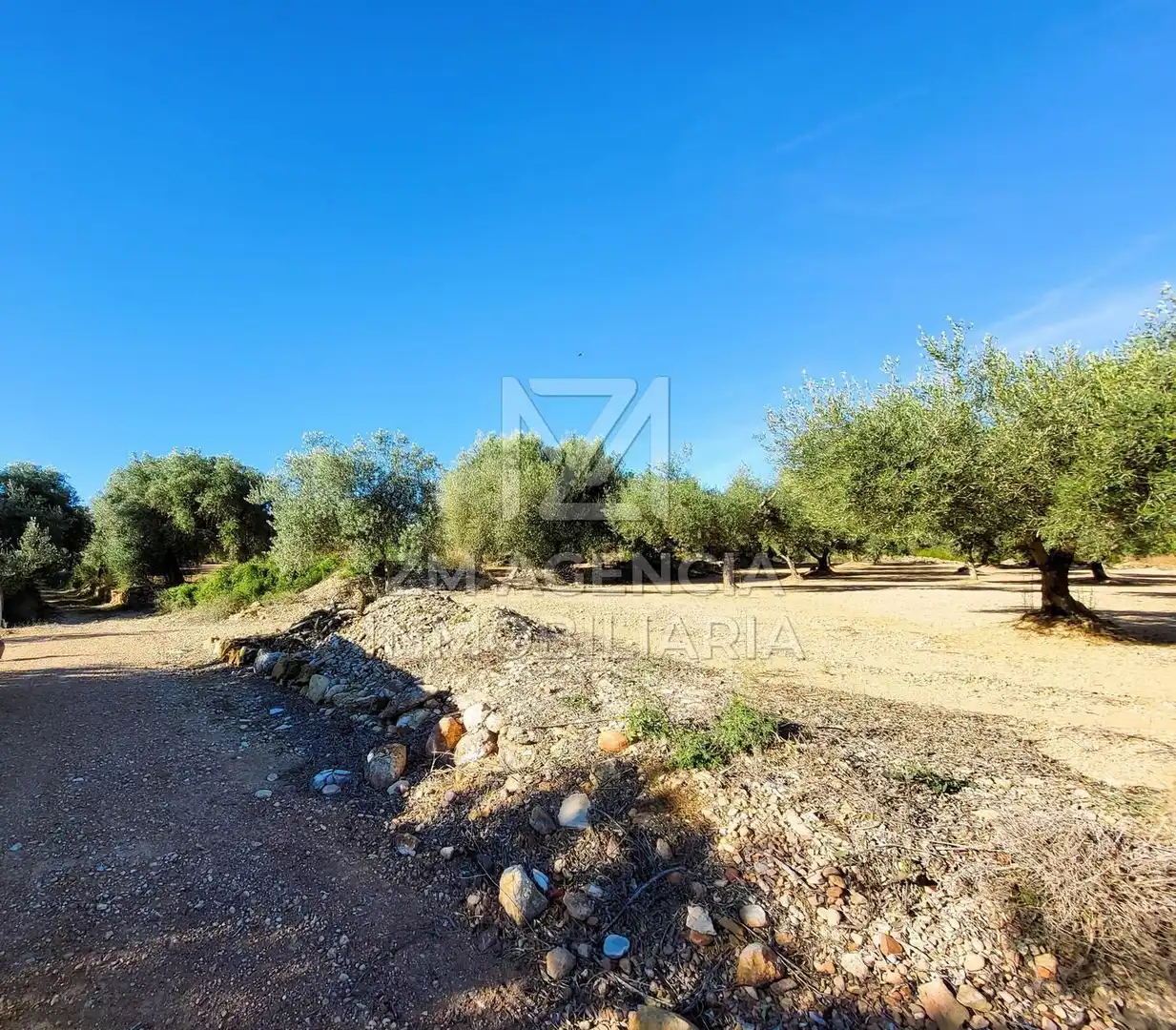 Casa rústica en venta en Traiguera, imagen 5
