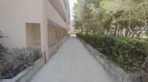 Photo 4 of Apartments for rent in Carrer Juia, Muro, Illes Balears
