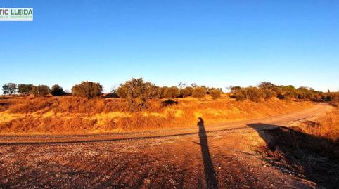 Foto 3 de Terreno en venta en Puiggròs, Lleida
