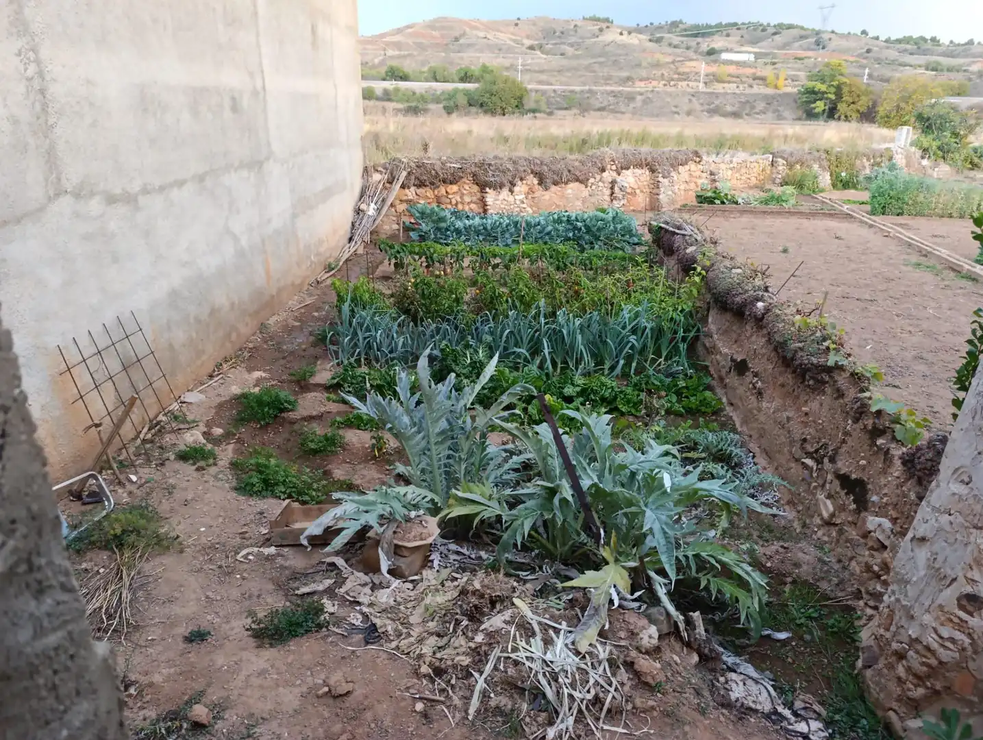 Casa rústica en venda a Calamocha, imagen 22