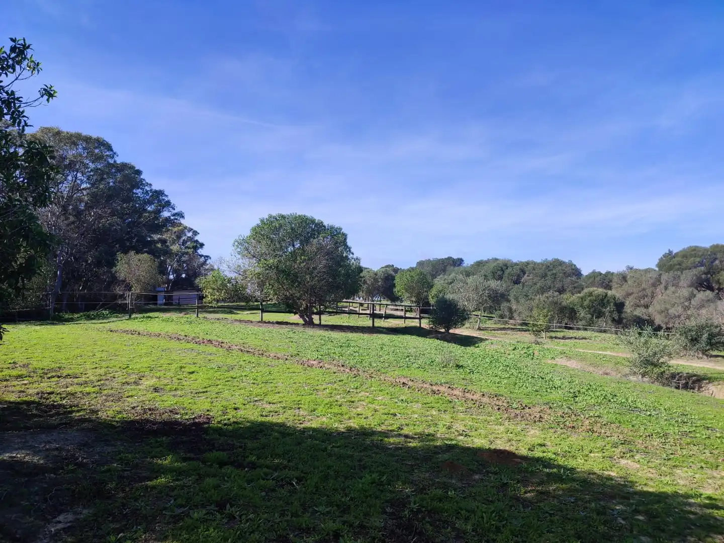 Haus oder Chalet zum Verkauf in Vejer de la Frontera mit Heizung, Privatgarten und Parkett