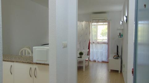 Foto 2 de Apartament de lloguer a Juzgados - Plaza de Toros, Benidorm