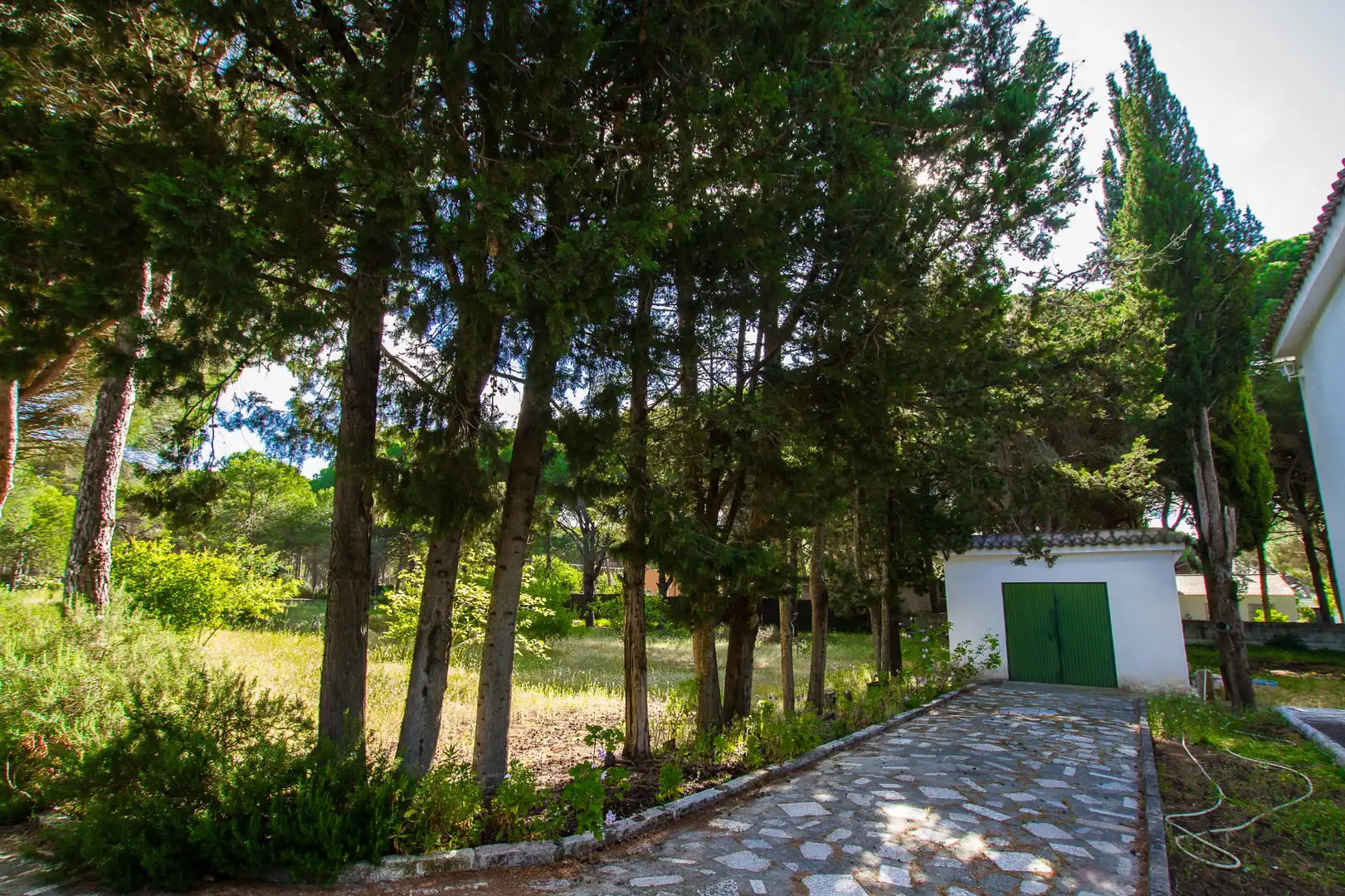 Jardí de Casa o xalet en venda en Chiclana de la Frontera amb Moblat
