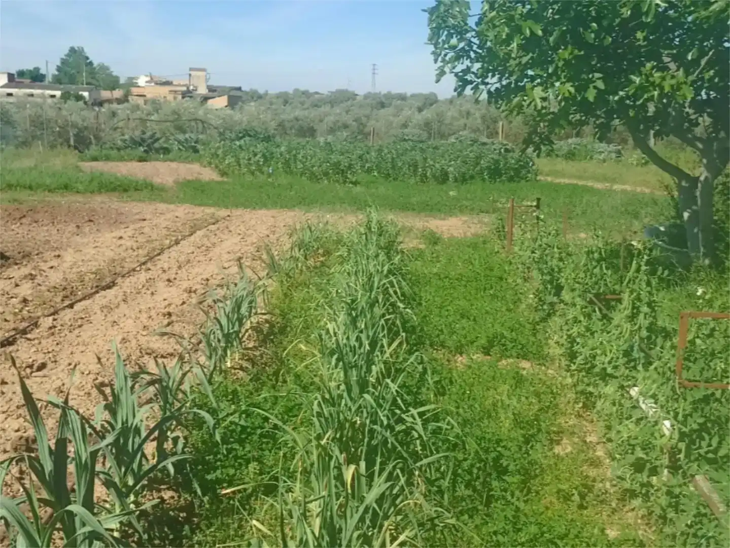 Piso en venta en Linares con Aire acondicionado